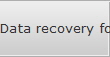 Data recovery for Lynn data